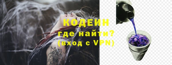 мдпв Каменногорск