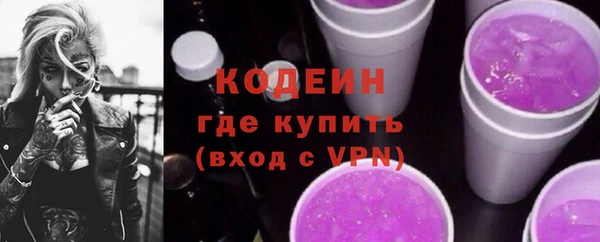 мдпв Каменногорск