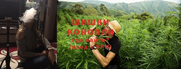 мдпв Каменногорск