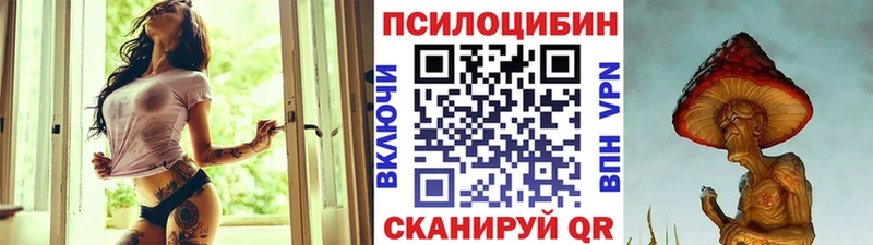 Галлюциногенные грибы Psilocybe  Купить где  Дмитров 