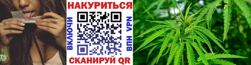 Купить  Дмитров  МАРИХУАНА сатива 
